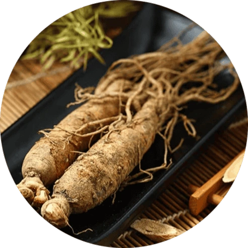 BrainVex™ Panax Ginseng Cognitive Energy Support