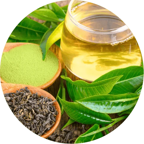 BrainVex™ L-Theanine Calm Focus and Clarity Support